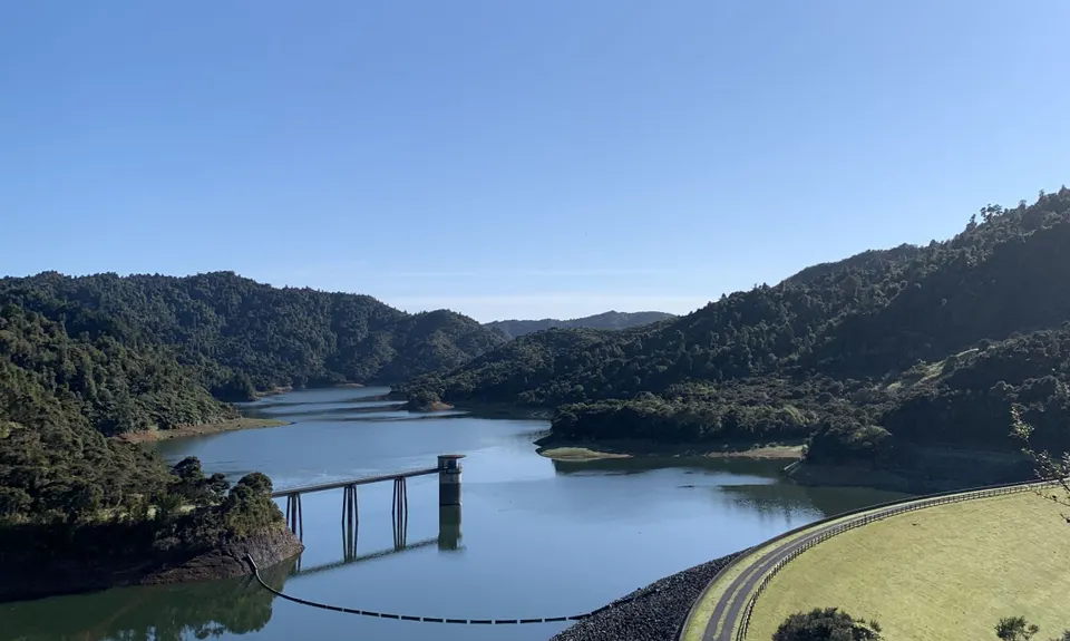 Suspension Bridge Track , Auckland