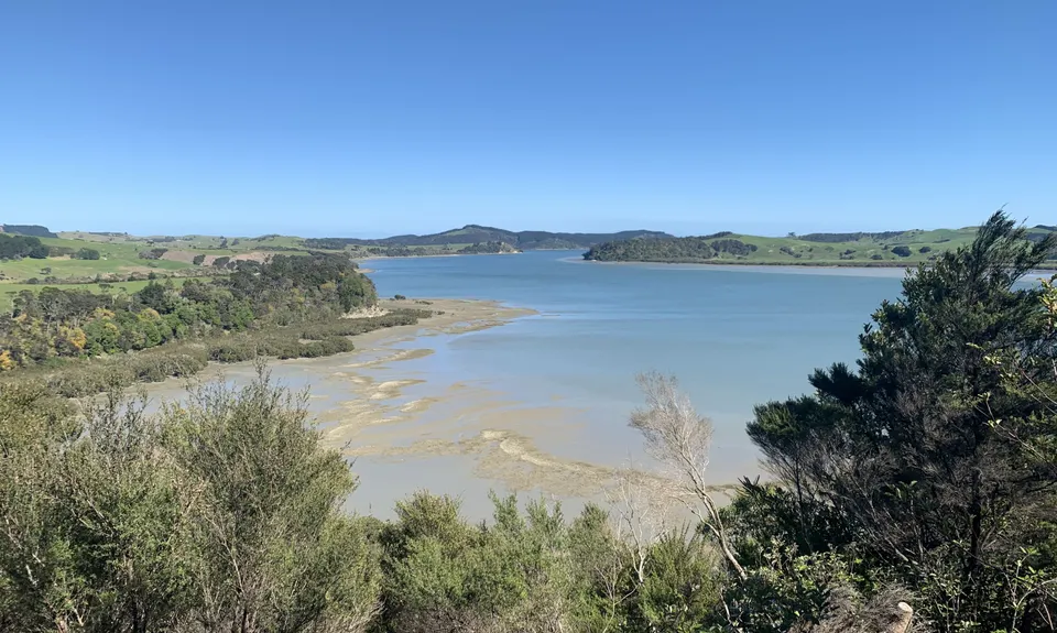 Atiu Creek Runabout., Auckland