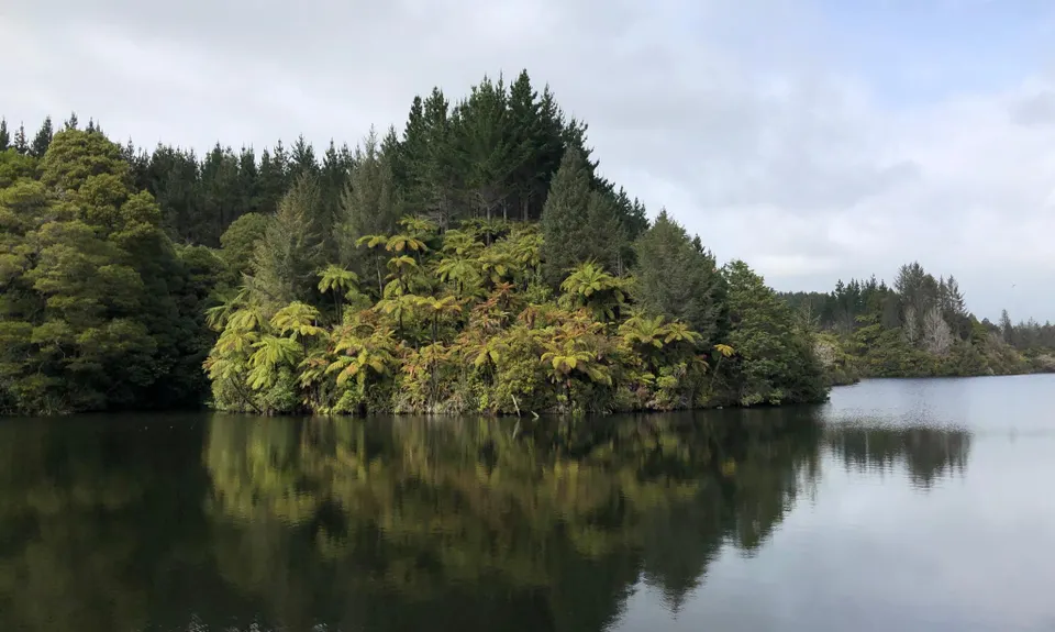 Lake Mangamahoe, Taranaki