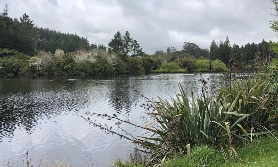 Lake Mangamahoe, Taranaki