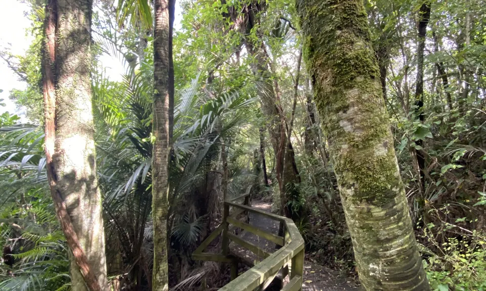 Wenderholm Wide , Auckland
