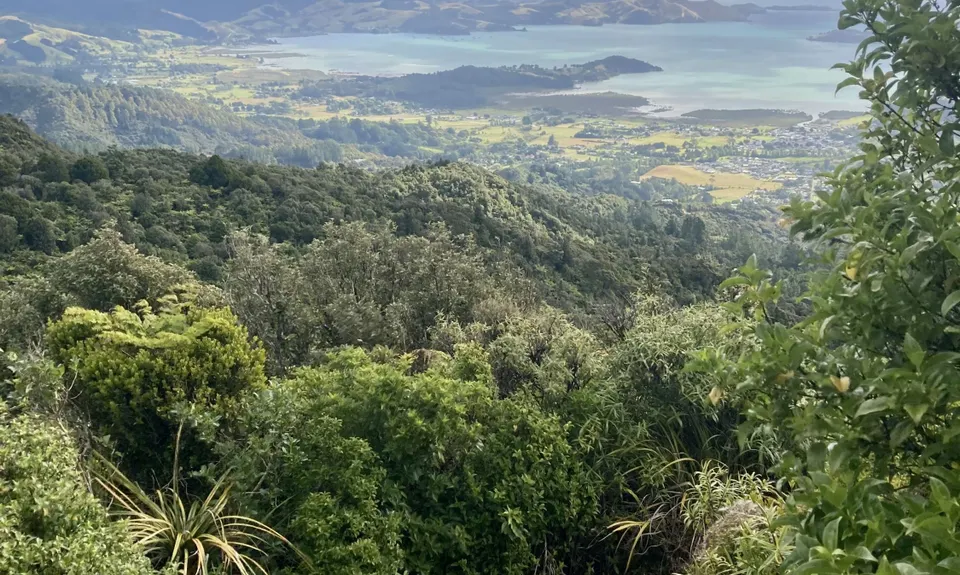 Kaipawa Trig , Waikato
