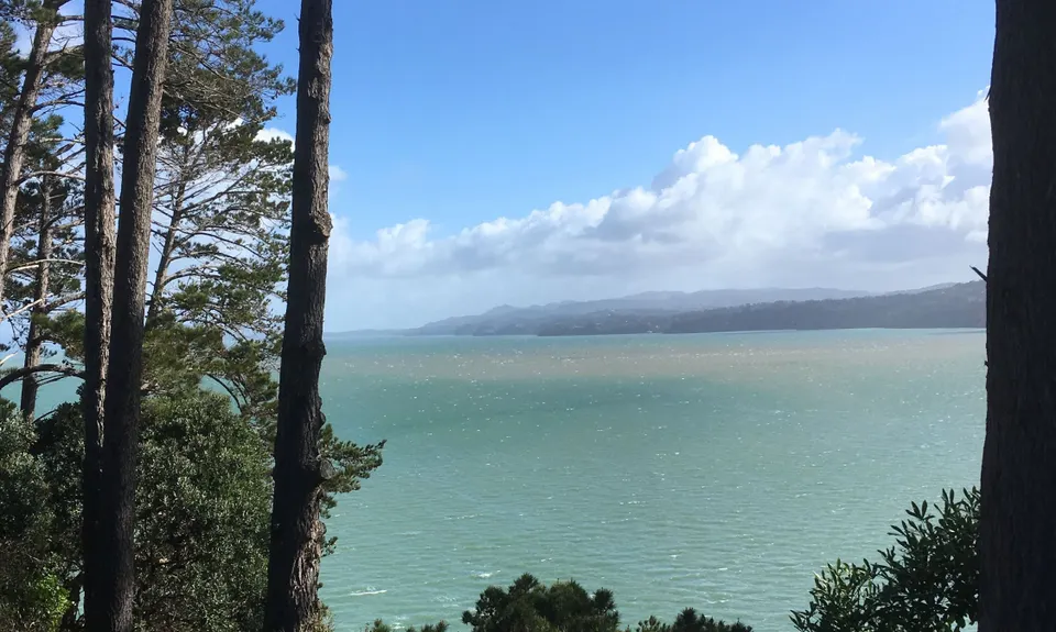 Waikowhai Stairs, Bush & Beach, Auckland
