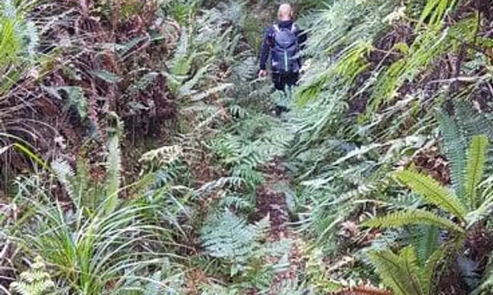 Kaimai Summit to Wairere Falls , Waikato