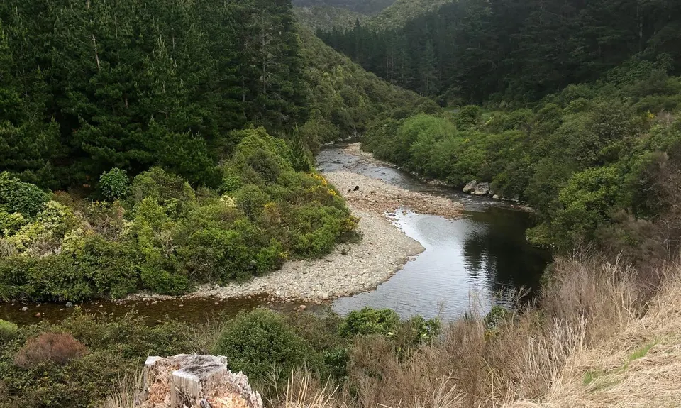 Rimutaka Incline, Wellington
