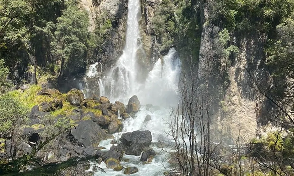 Eastern Okataina Walkway to Tarawera Falls, Bay of Plenty
