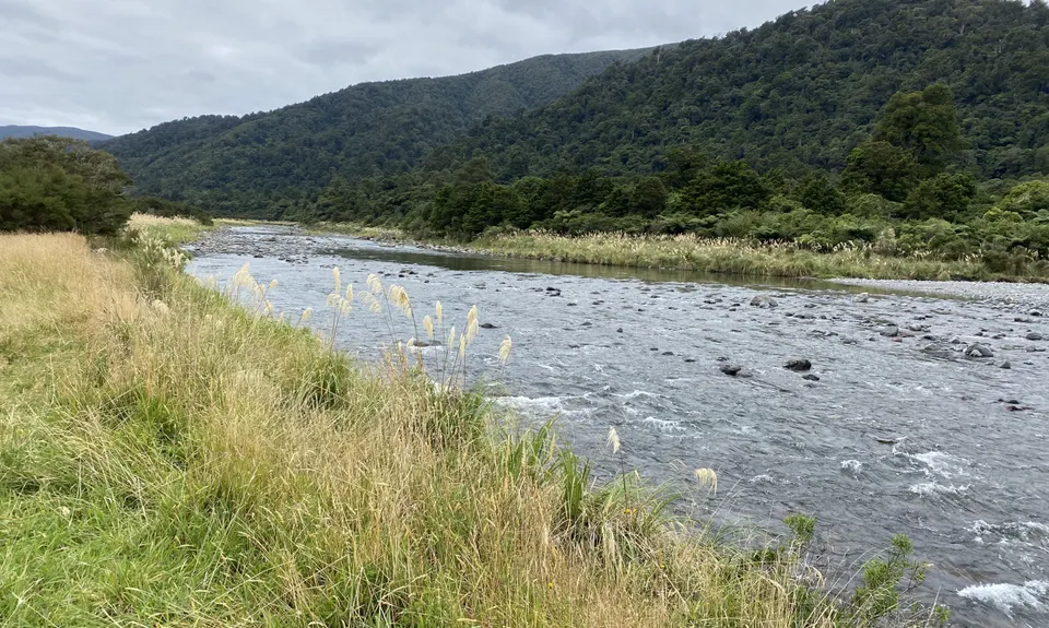 Holdsworth to Kaitoke, Wellington