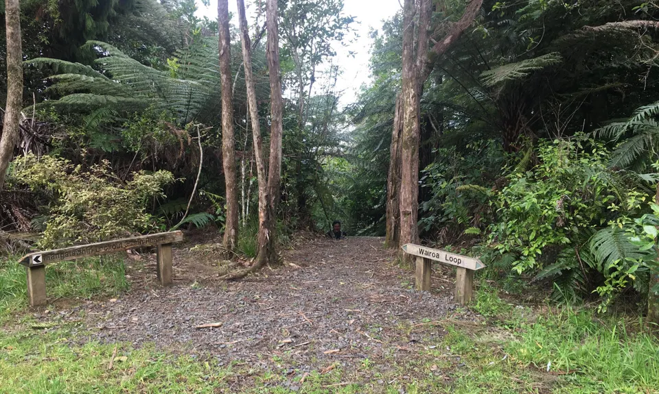 Wairoa Suspension Loop, Auckland