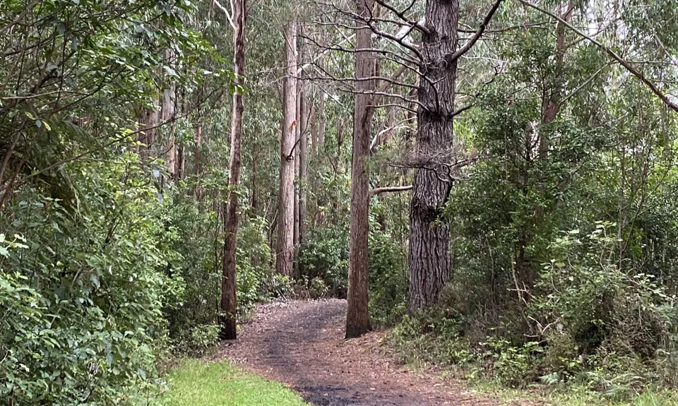 Wainuiomata Recreation Area, Wellington