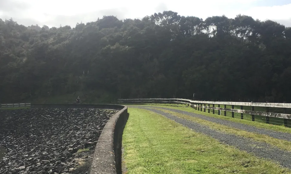 Wairoa Suspension Loop, Auckland