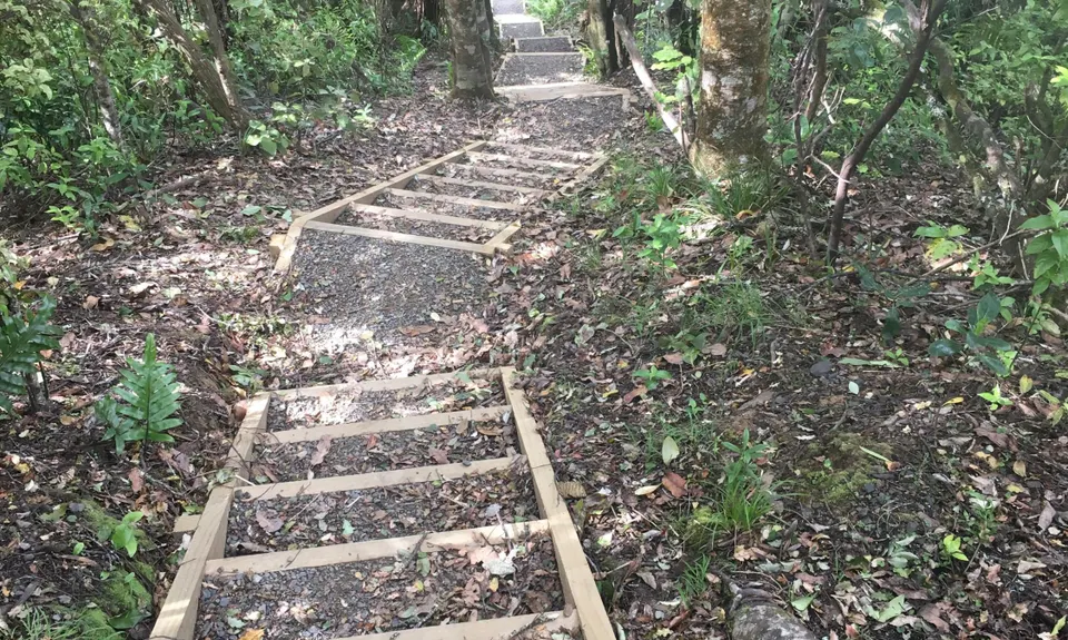 Wairoa Suspension Loop, Auckland