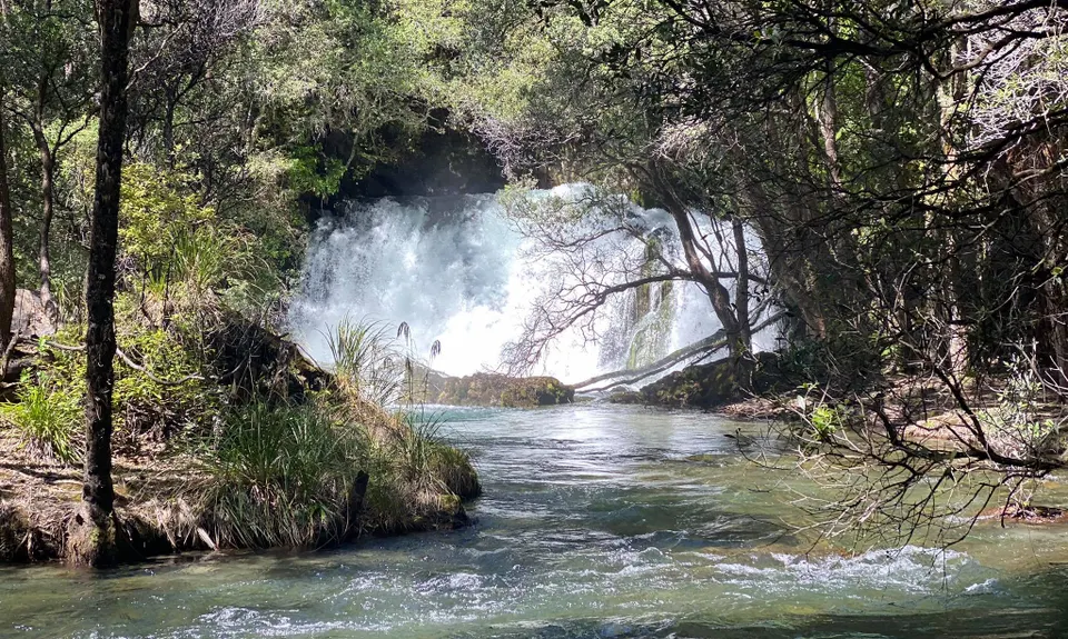 Eastern Okataina Walkway to Tarawera Falls, Bay of Plenty