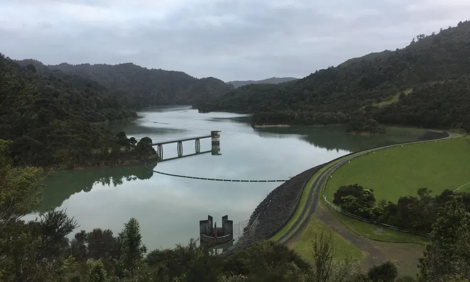 Suspension Bridge Track , Auckland