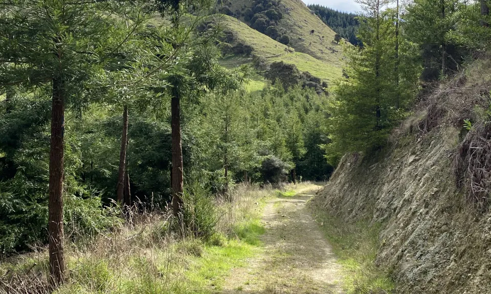 Rewanui Loops, Manawatu - Wanganui