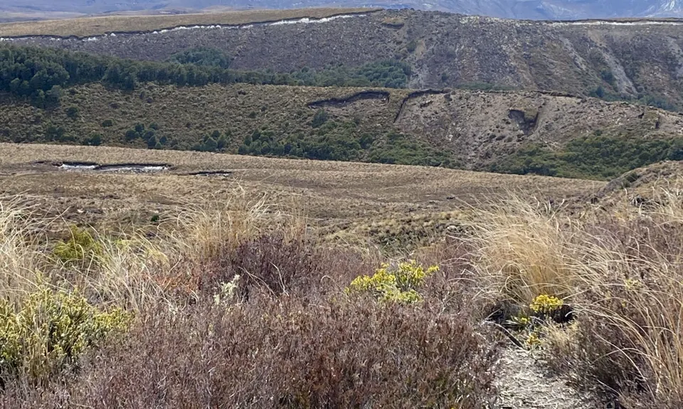Silica Rapids trail, Manawatu - Wanganui
