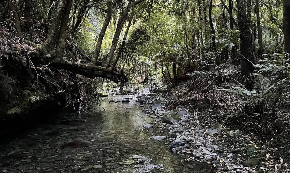Kapakapanui