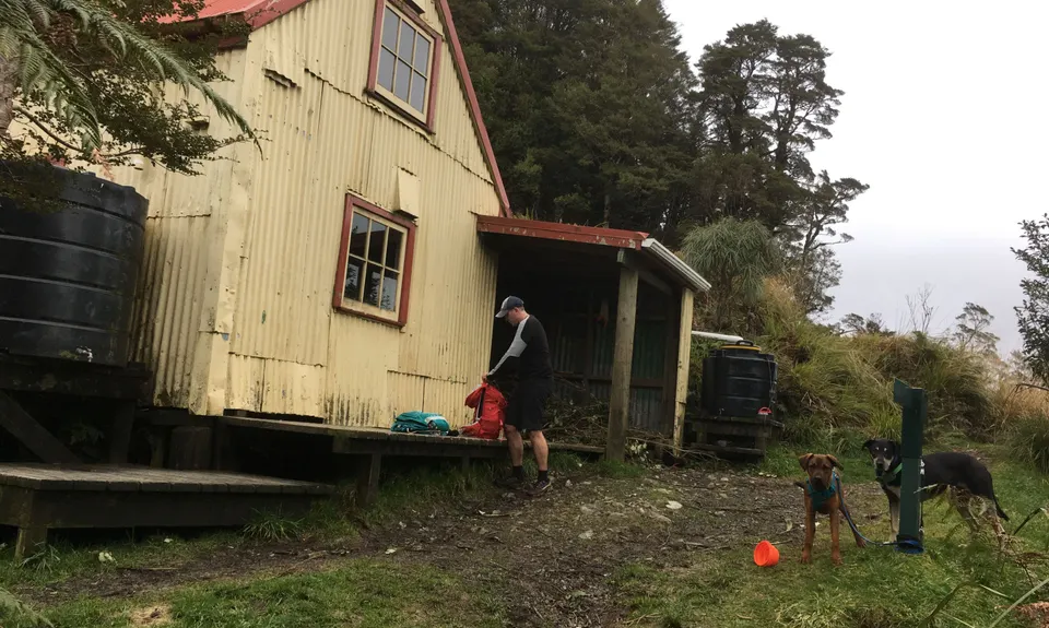Field Hut Frolic, Wellington