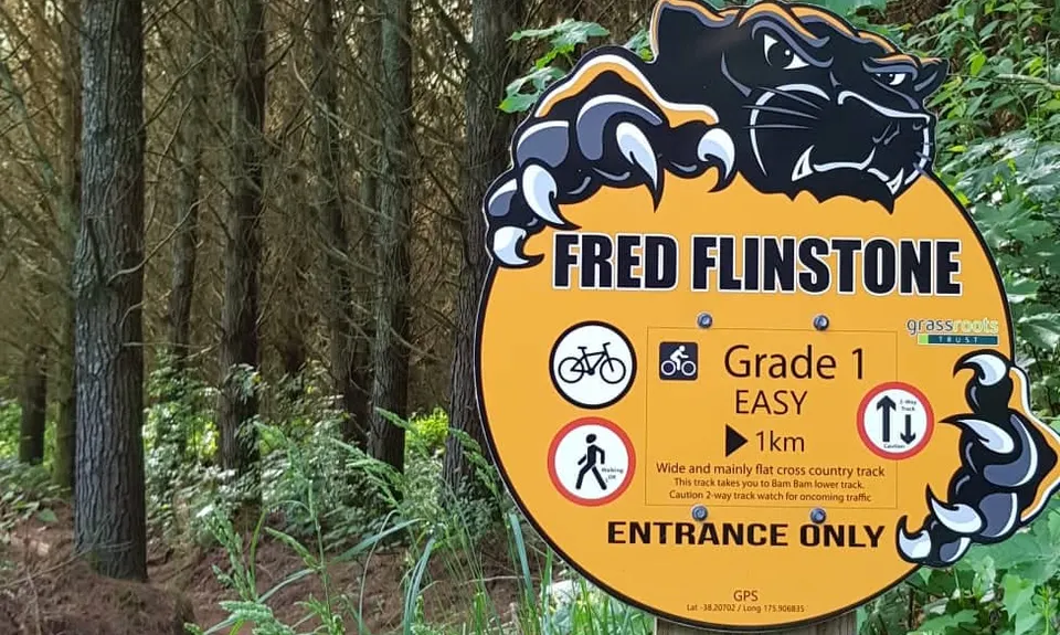 Cougar Park Dash  , Waikato