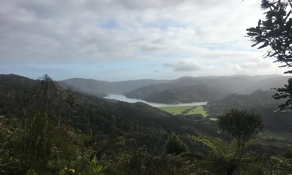 Wairoa Suspension Loop, Auckland