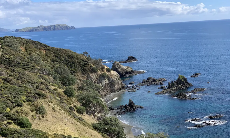 Mahinepua Peninsula Track, Northland