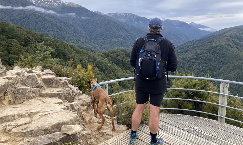 Holdsworth Lodge to Totara Flats Hut and return, Wellington