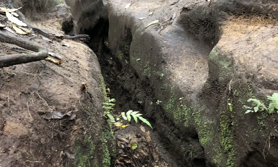 Tauhara Grunt, Waikato