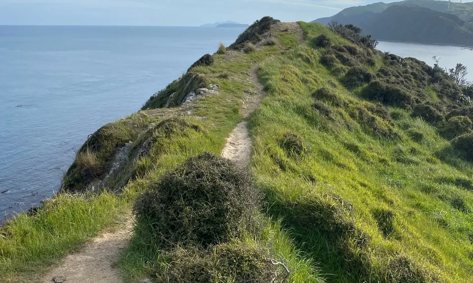 Makara Walkway, Wellington
