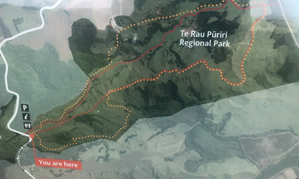 Te Rau Puriri Regional Park, Auckland