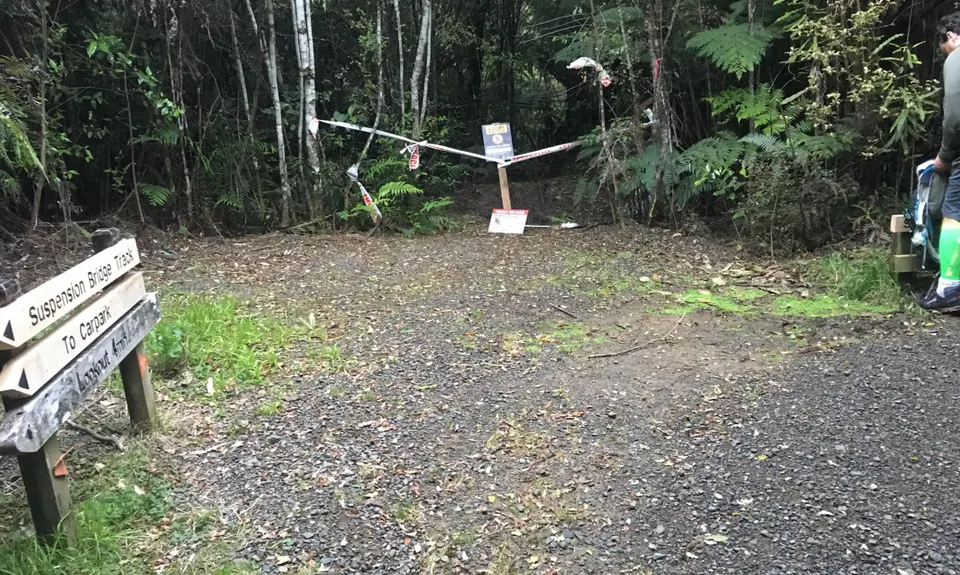 Suspension Bridge Track , Auckland