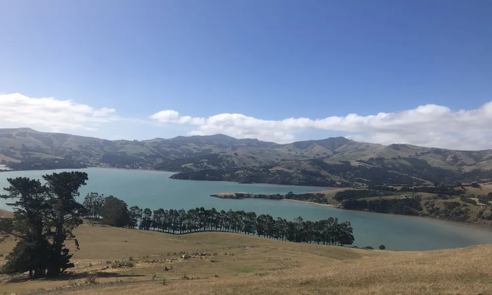 Moa Point Loop, Canterbury