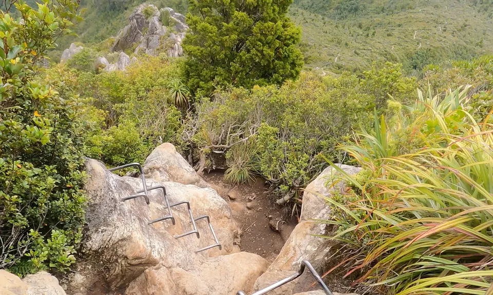 Pinnacles Summit, Waikato