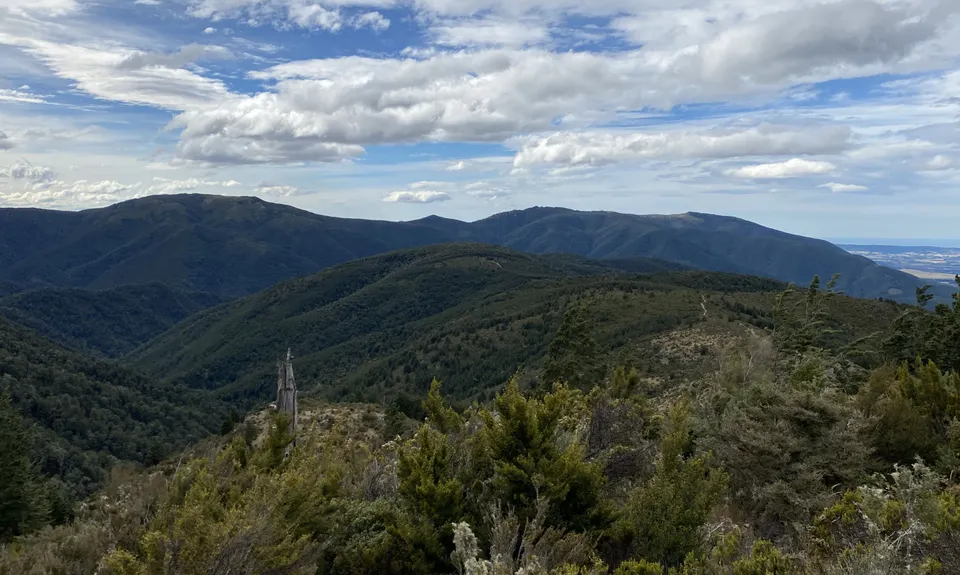 Mt Richardson Rippa, Canterbury