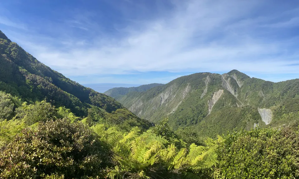 Mt Matthews, Wellington
