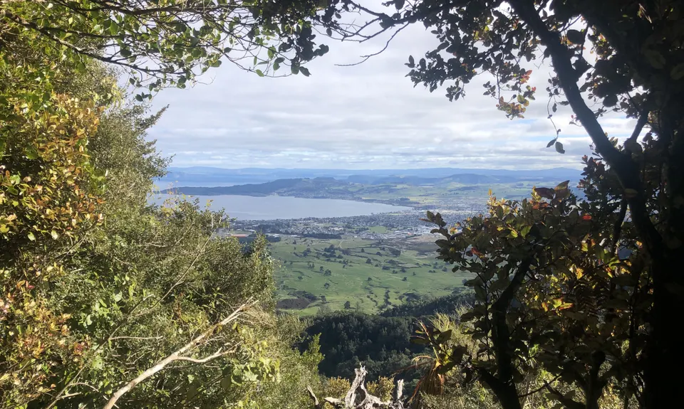 Tauhara Grunt, Waikato
