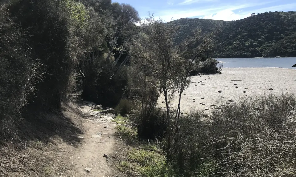 Taieri Mouth Millenium Trail, Otago