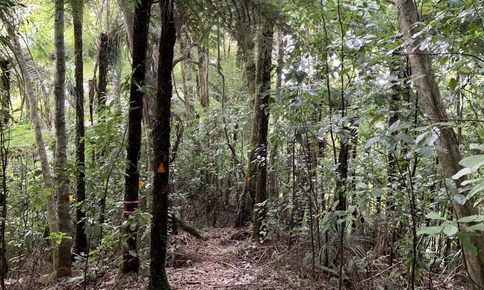 Hunua Magic, Auckland