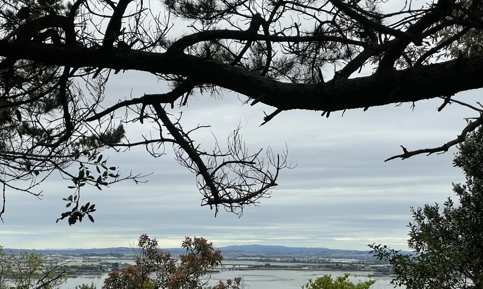 Inner City Bush Trails, Auckland