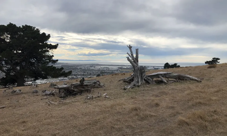 Montgomery Loop, Canterbury