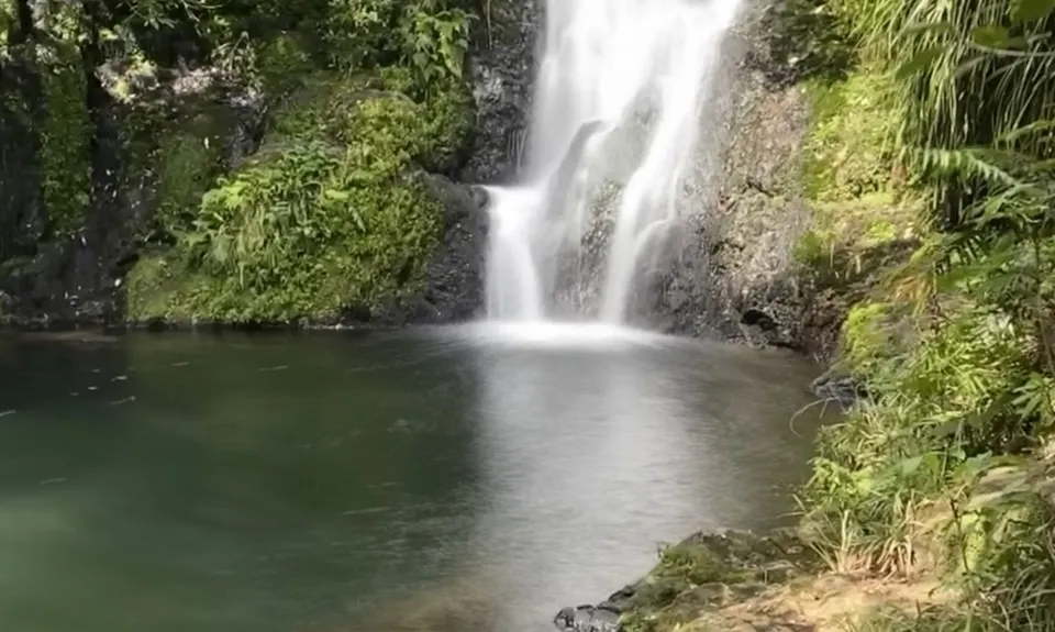 Otainewainuku - Whataroa Falls, Bay of Plenty