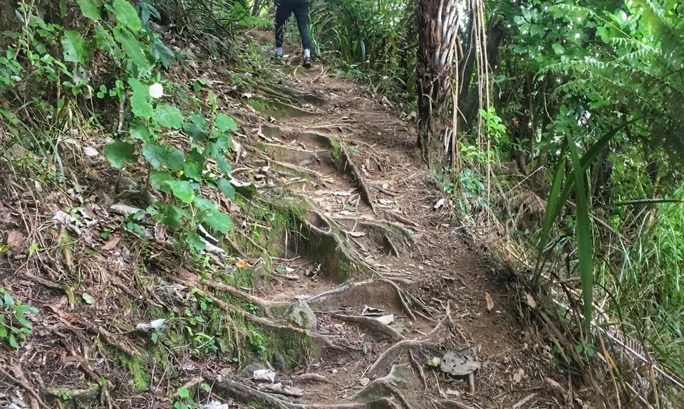 Te Aroha Summit Loop, Waikato