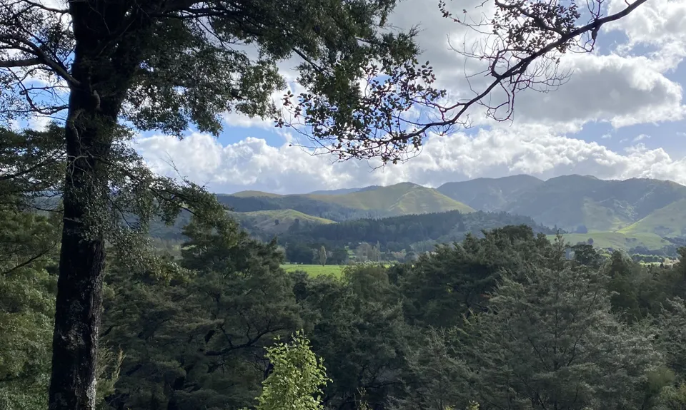 Fensham Reserve Loop, Wellington
