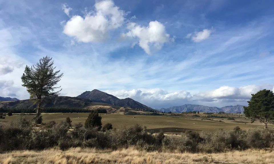 Deans Bank Loop, Otago