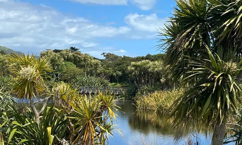 Lizzie's Loop, Wellington