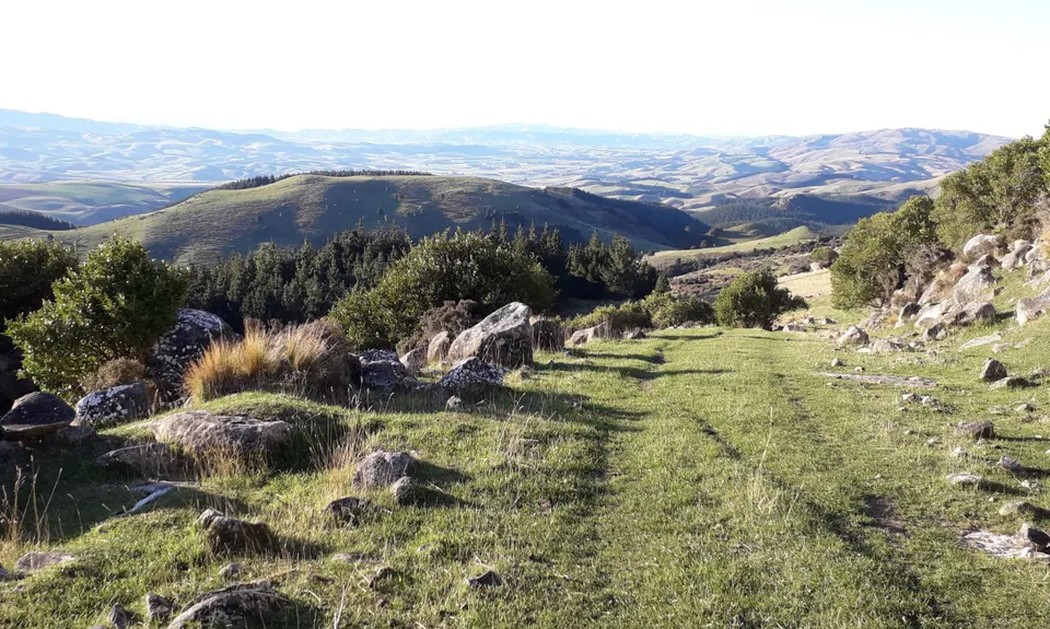 Mt Cass Clamber, Canterbury