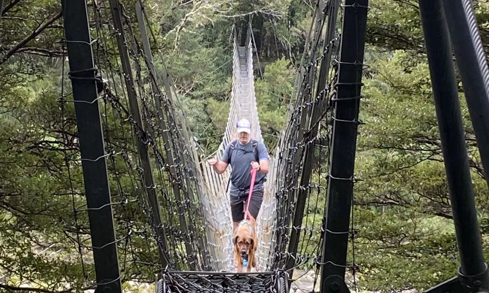 Holdsworth Lodge to Totara Flats Hut and return, Wellington