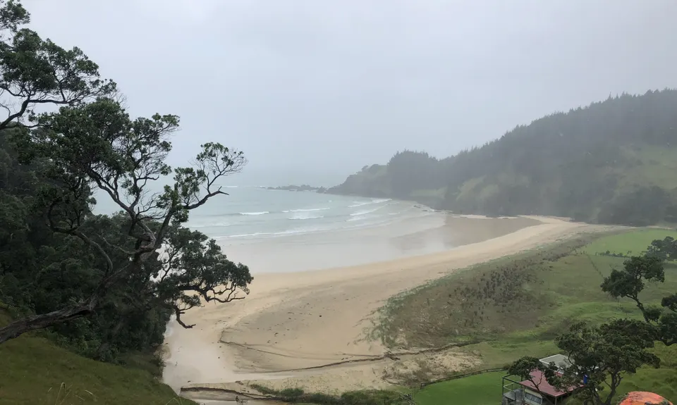 Whananaki Coastal Track, Northland