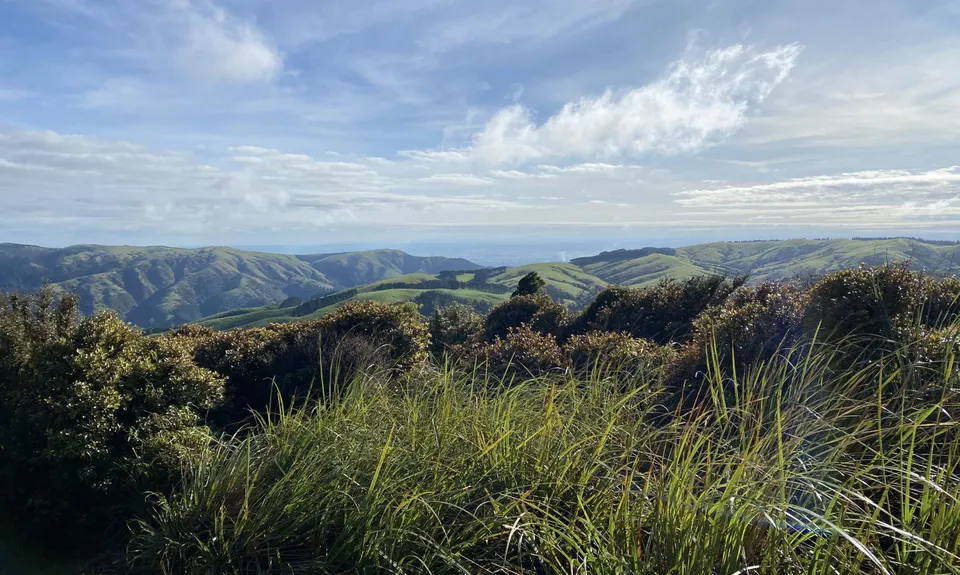 Sledge Track with Toetoe Loop & Otangane Loop, Manawatu - Wanganui