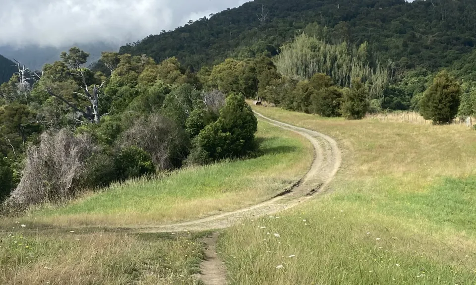 Grampians Grunt, Nelson
