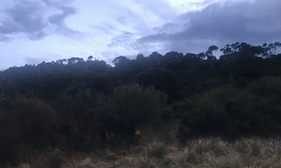 The Tautuku Tiptoe, Otago