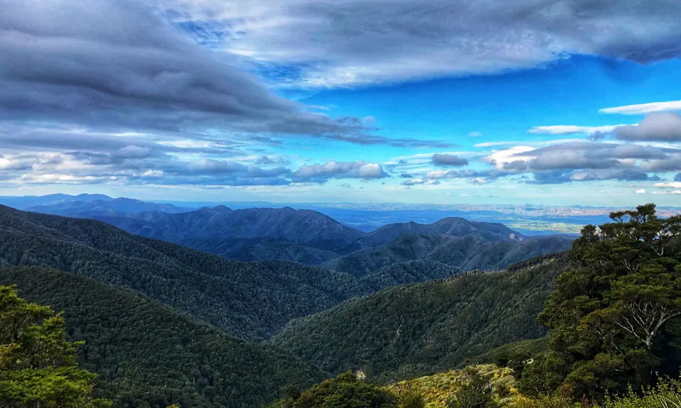 Mt Climie & Tane's Track, Wellington